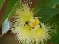 164 Thailand 2015 best of